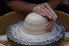 IMG_8729